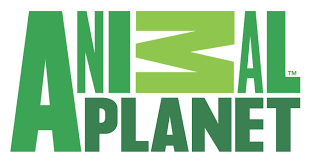 Animal Planet